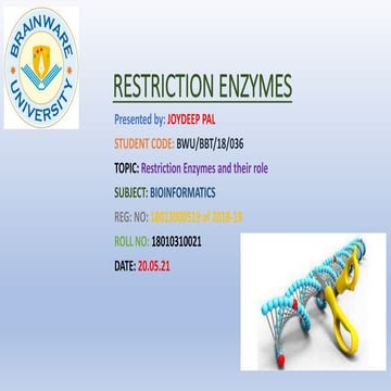 Restriction enzymes