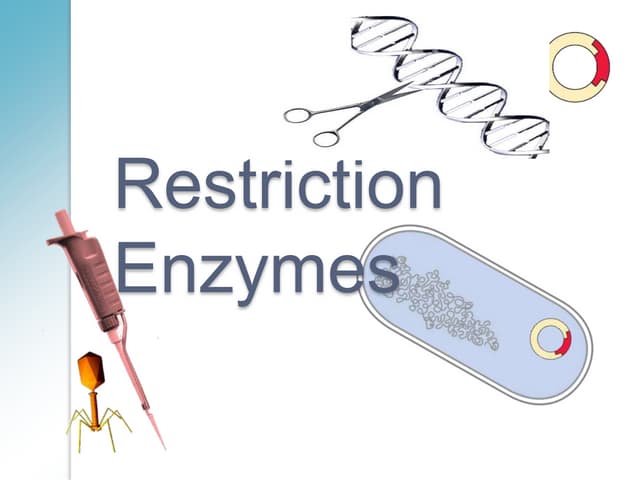 Restriction-Modification system, Types of Restriction enzymes | PPTX