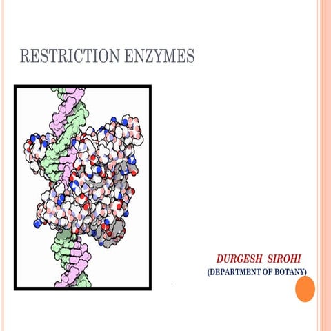 Restriction enzymes  d.sirohi