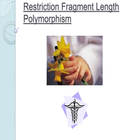Restriction fragment length polymorphism