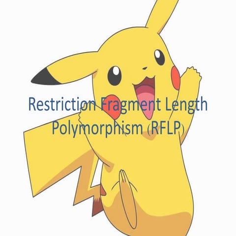 Restriction fragment length polymorphism (rflp)