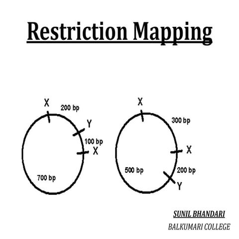 Restriction Mapping