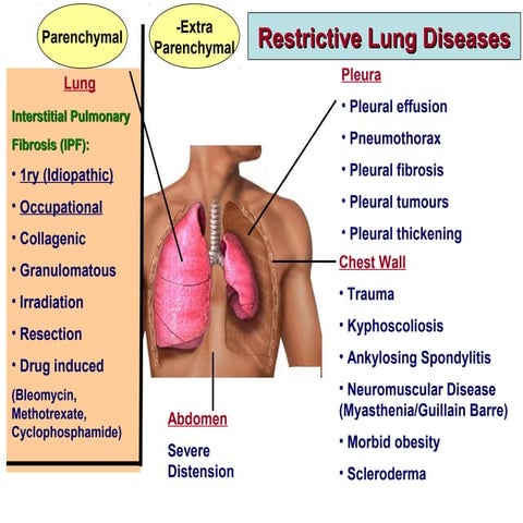 4 Restrictive Lung Diseases