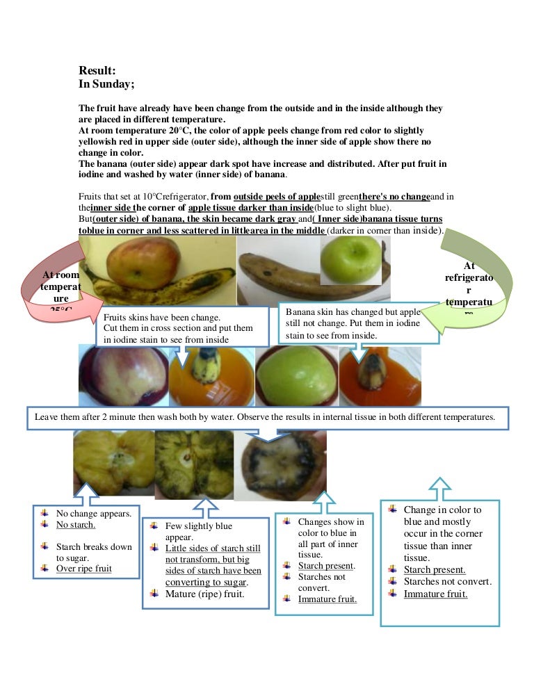 ethylene hormone in fruit ripen