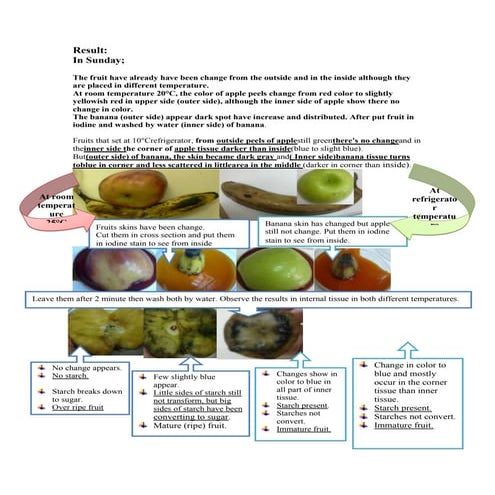 Artificial ripening of fruits | PPTX