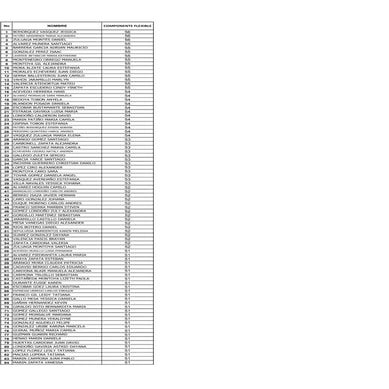 Resultados componente flexible