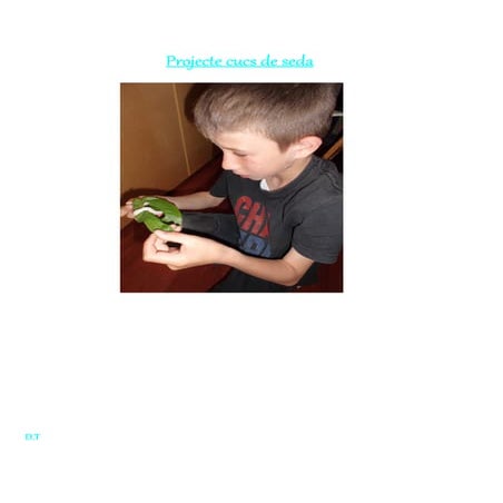 Resultat del projecte tic