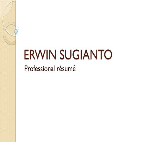 Erwin Sugianto - Professional Resume | PDF