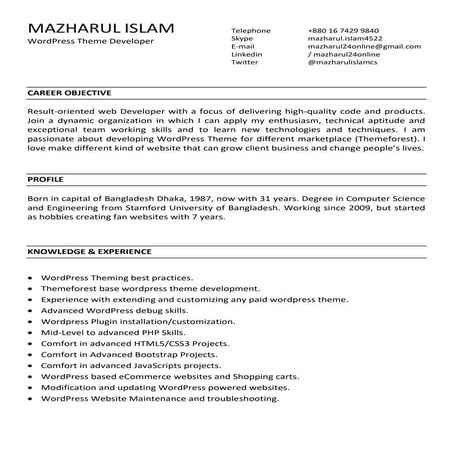 Professional WordPress Theme Developer || Web Developer || Resume || CV