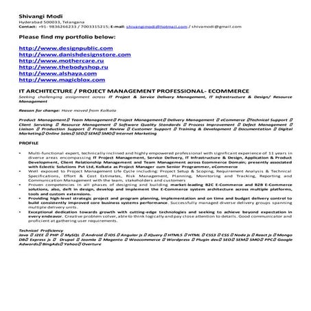 Resume for Magneto Architect