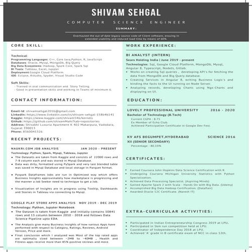 Resume analyst