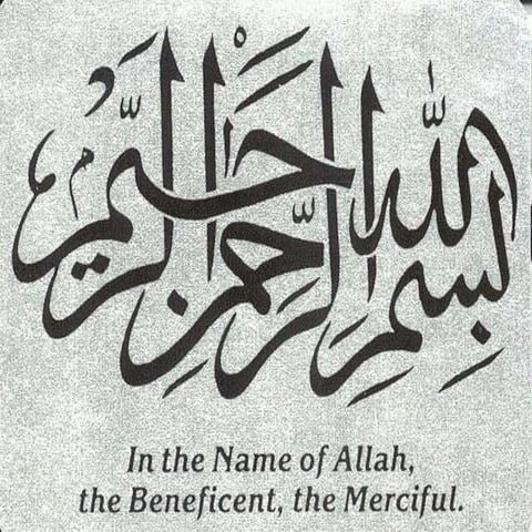 Resume and job application