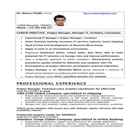 CV Mr. Alain Amghar in English | PDF