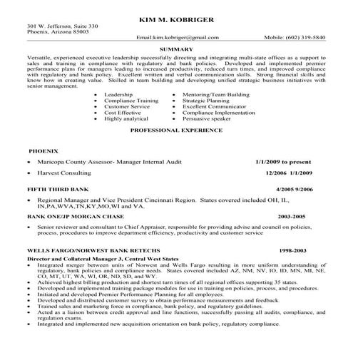 Martin Straw, CFE Certified Fraud Examiner Resume | DOCX