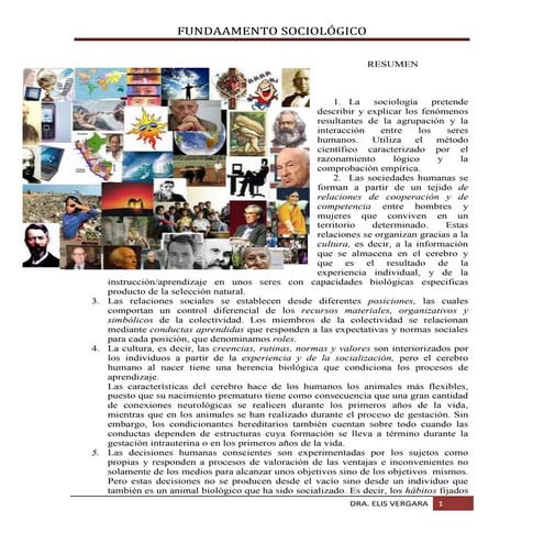 Resumen: ¿ Qué es la sociología ? Algunos conceptos básicos.