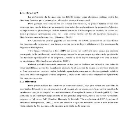 Resumen  2.1 ERPS.docx