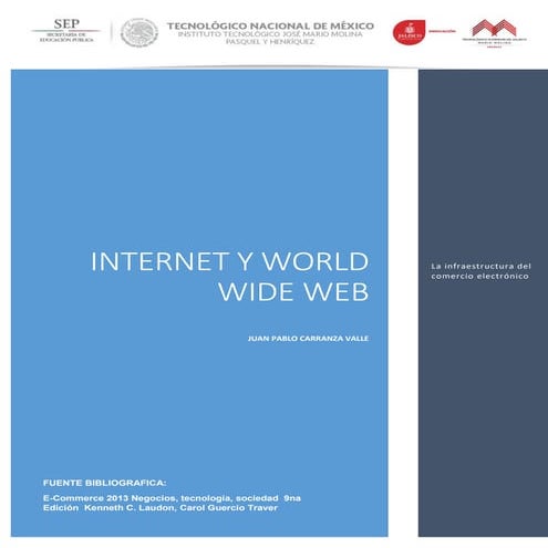 INTERNET Y WORLD WIDE WEB | PDF