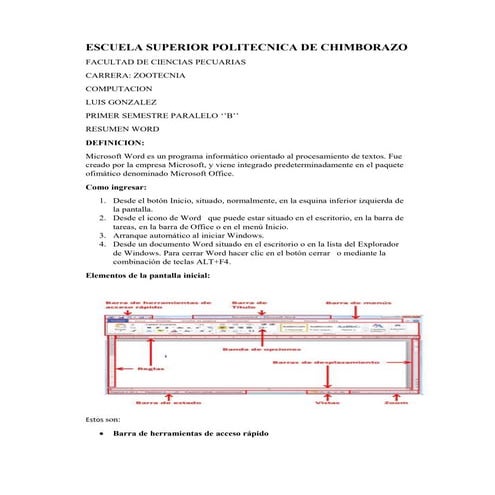 Resumen de word