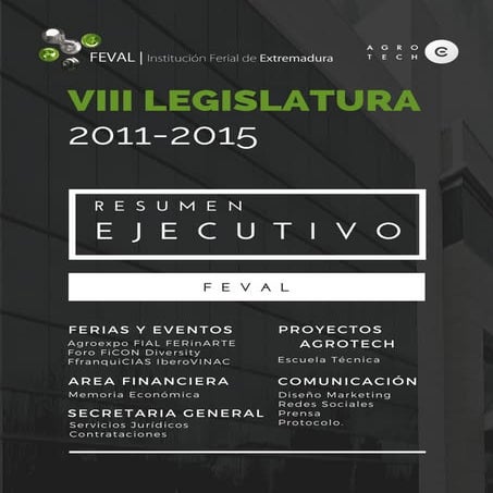 Resumen Ejecutivo FEVAL 