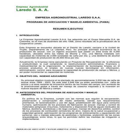 Resumen ejecutivo pama | PDF