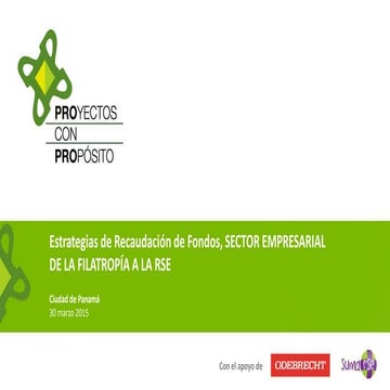 Resumen ejecutivo recaudación empresas para ONG