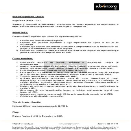 Resumen icex next_2013