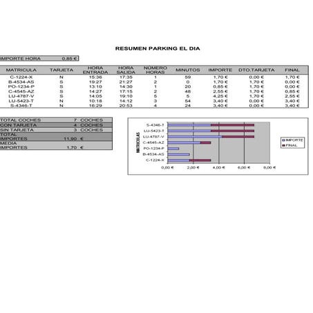 Resumen parking el dia