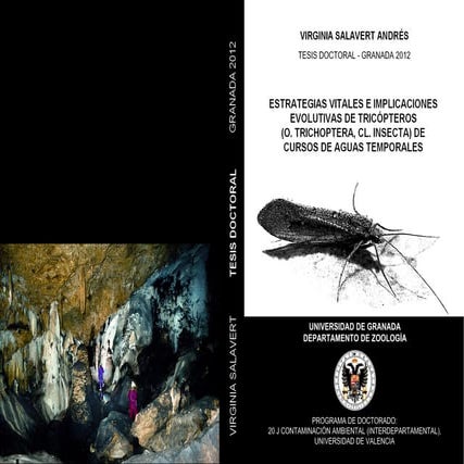 Resumen tesis virginia salavert