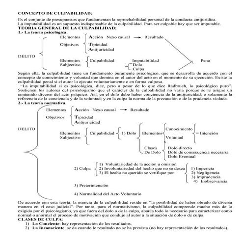 Resumen todos los temas Penal