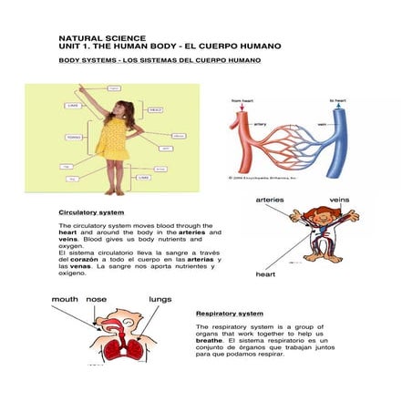Resumen unit 1. natural science 3º 