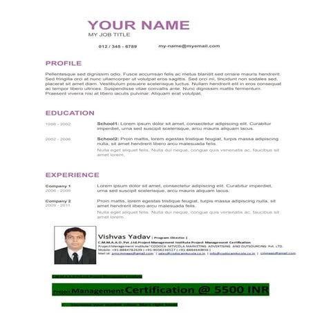 Resume template 1