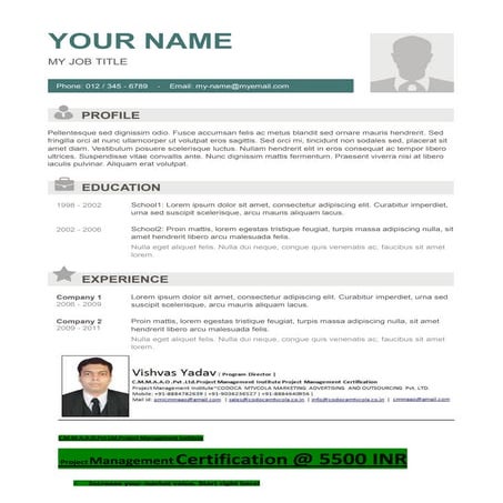 Resume template 11