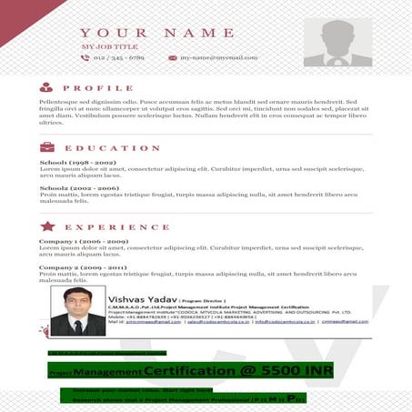 Resume template 15
