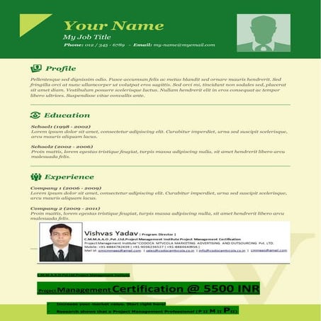 Resume template 16