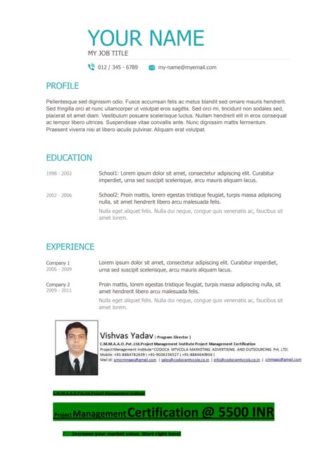 Resume template 2
