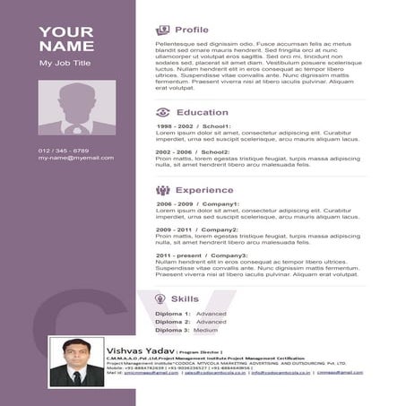 Resume template 8