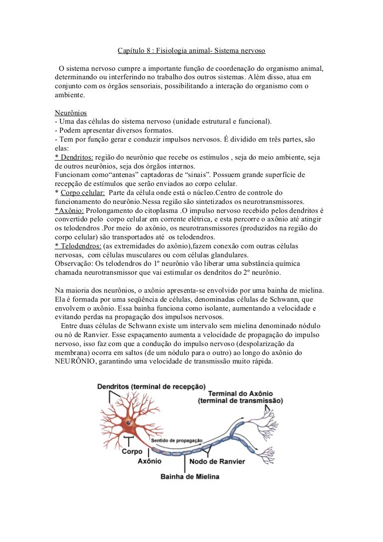 Resumo Sistema Nervoso