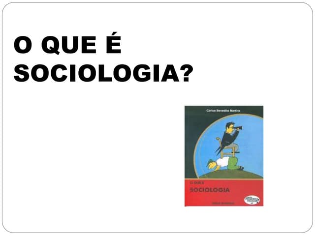 Resumo do livro o que é sociologia  