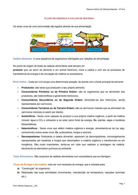 Resumo fluxo de energia e ciclo da ...