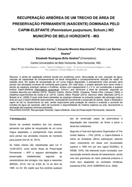 Resumo Nascente Acaba Mundo