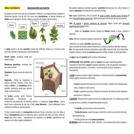 Resumo t1 naturais_6