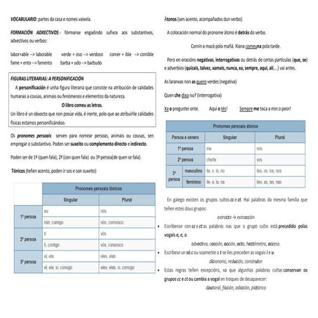 Resumo tema 10_galego