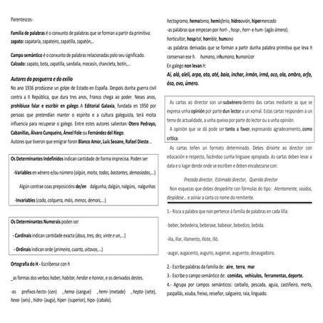 Resumo tema 8_galego