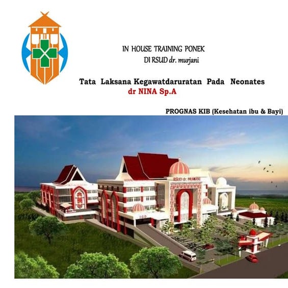 Resusitasi Neonatus Indonesia Versi IDAI 2022 | PPTX