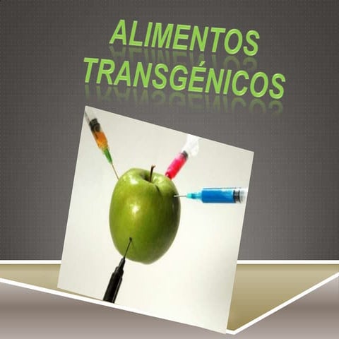 Alimentos transgenicos