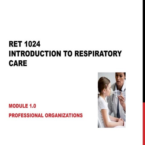 Ret 1024 mod 1.0 rc professional organizations | PPT