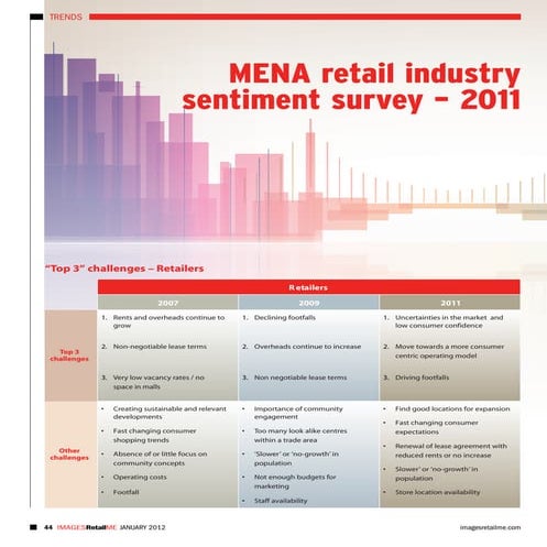 MENA Retail Industry Sentiment Survey - 2011