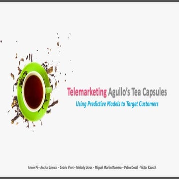 Defining Target Market for Telemarketing Campaigns