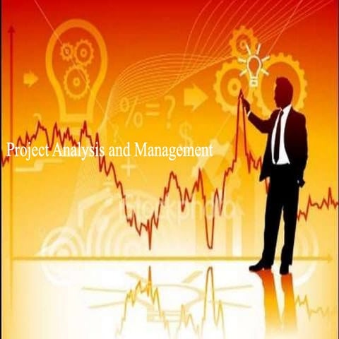 Project Management and analysis , evaluation