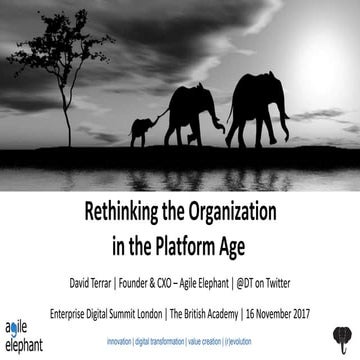 Rethinking the Organization in the Platform Age